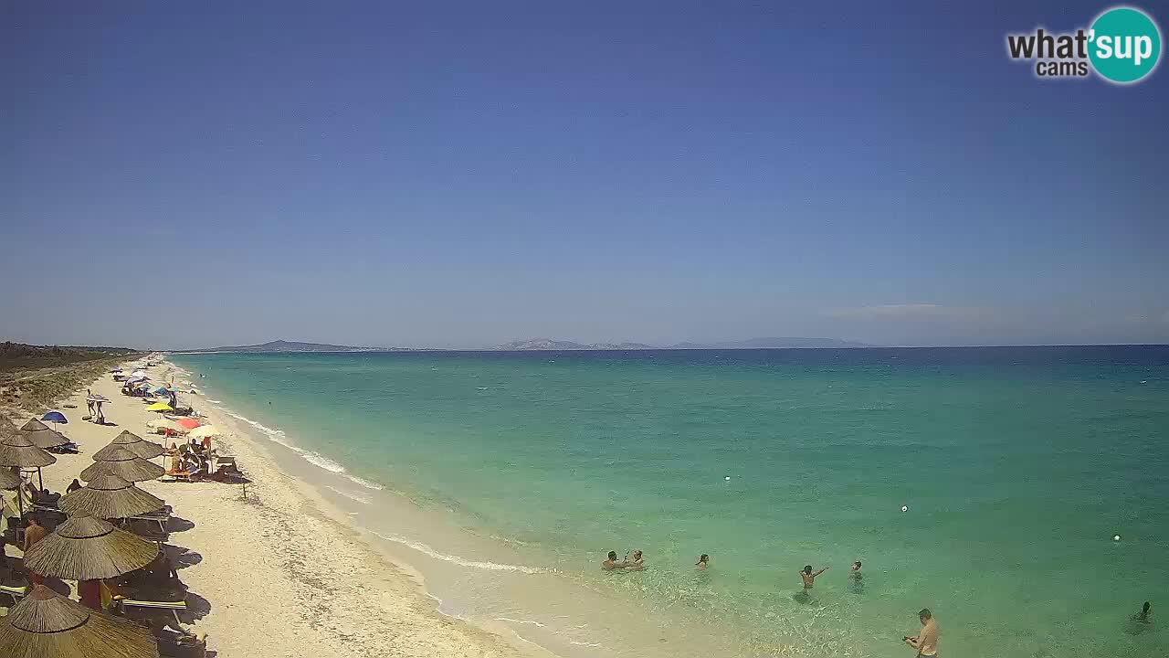 Beach Le Saline webcam live Stintino – Sardinia