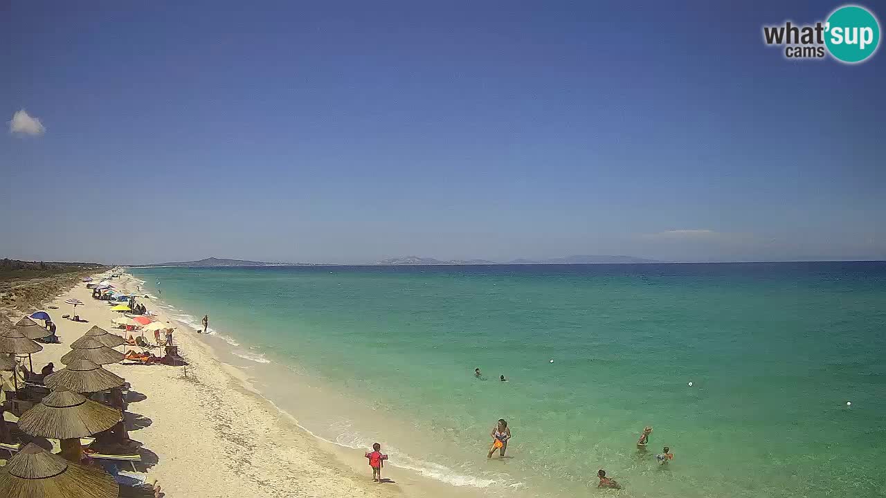 Spiaggia Le Saline webcam Stintino – Sardegna
