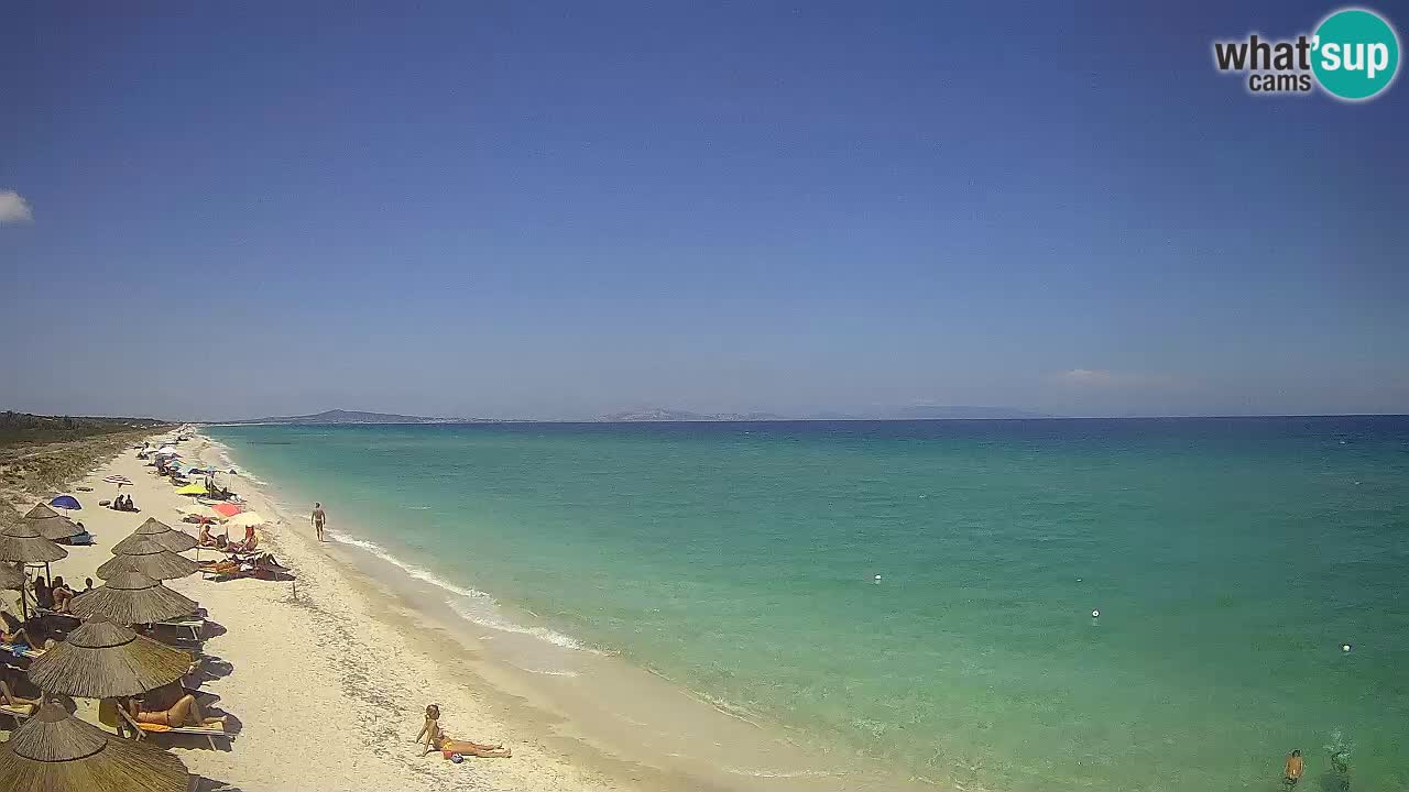 Strand Le Saline webcam Stintino – Sardinien