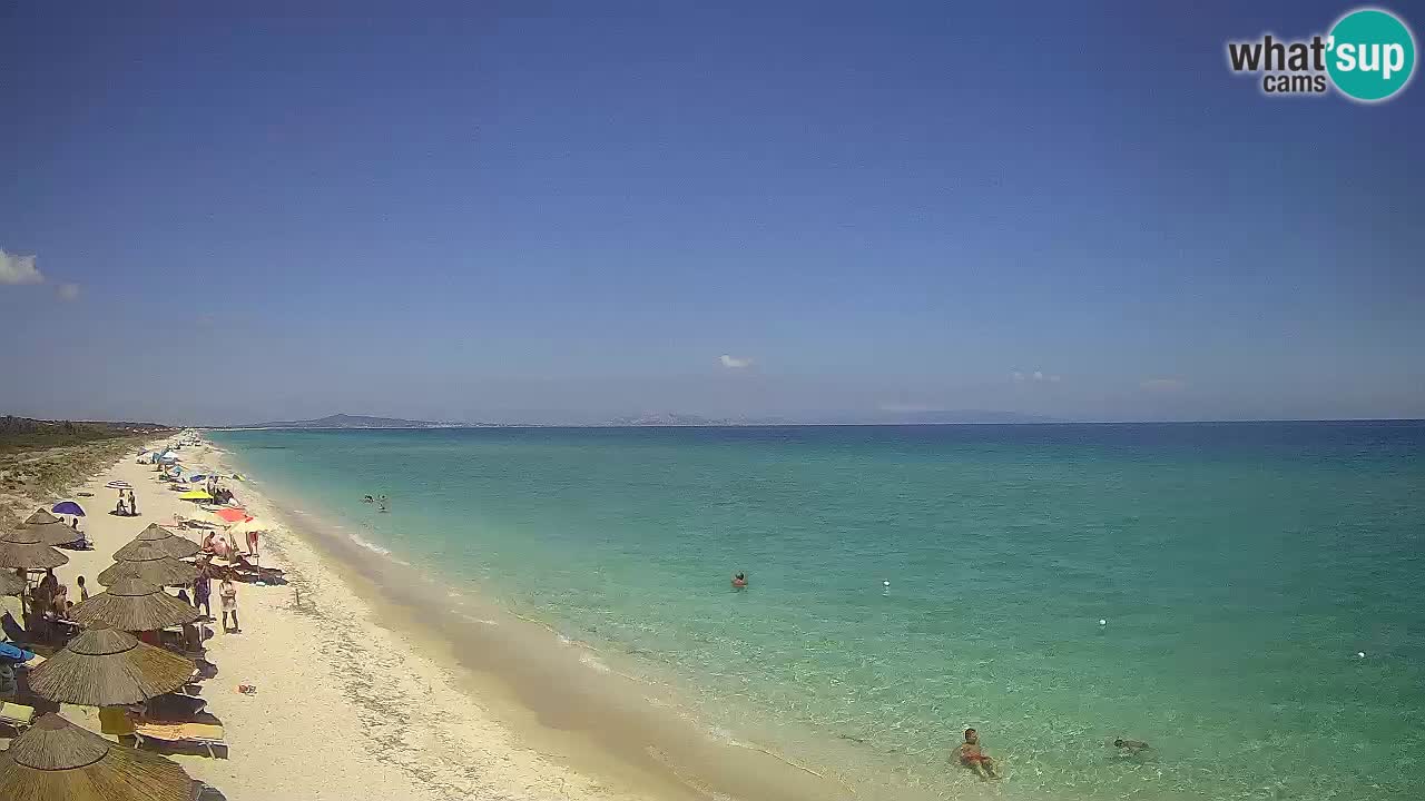 Plage Le Saline Live cam Stintino – Sardaigne
