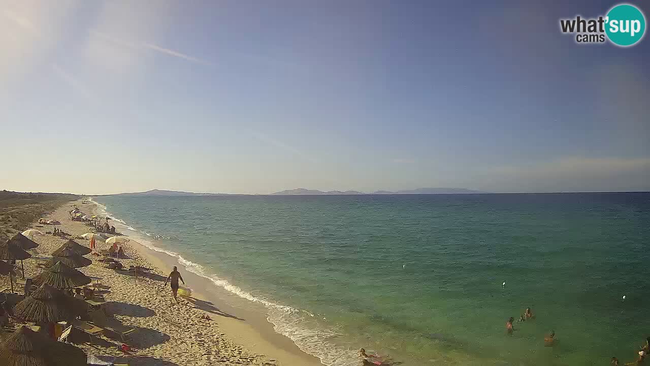Spiaggia Le Saline webcam Stintino – Sardegna