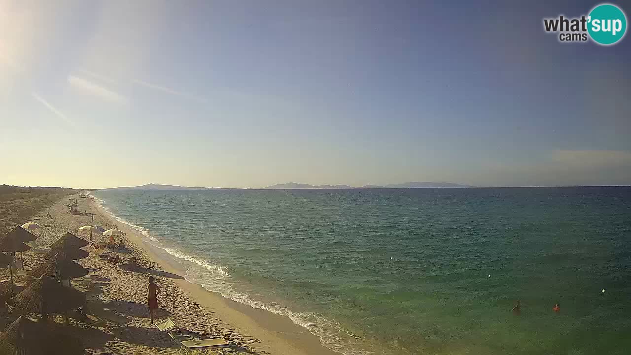 Plaža Le Saline spletna kamera Stintino – Sardinija