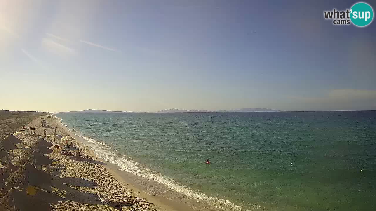 Plaža Le Saline web kamera Stintino – Sardinija