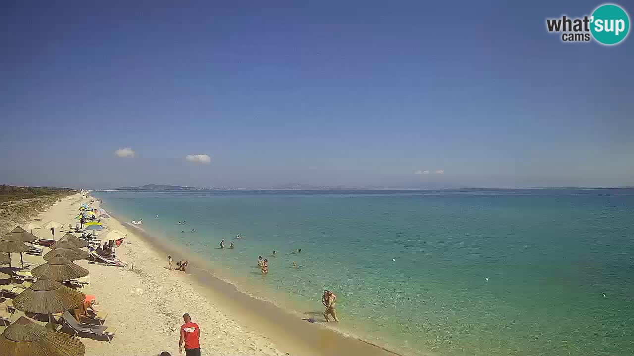 Beach Le Saline webcam live Stintino – Sardinia