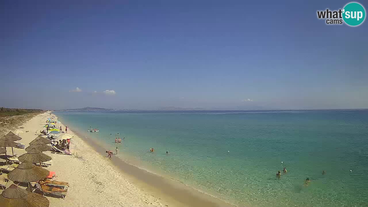 Beach Le Saline webcam live Stintino – Sardinia