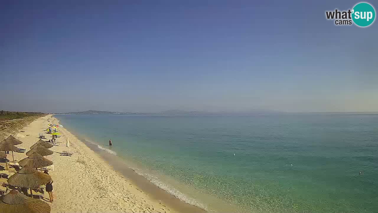 Playa Le Saline camera en vivo Stintino – Cerdeña