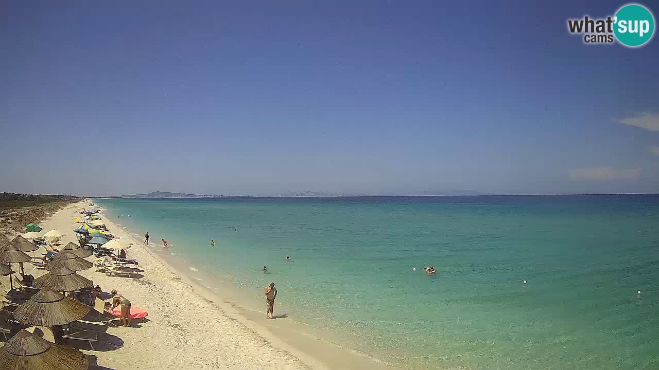 Plaža Le Saline web kamera Stintino – Sardinija