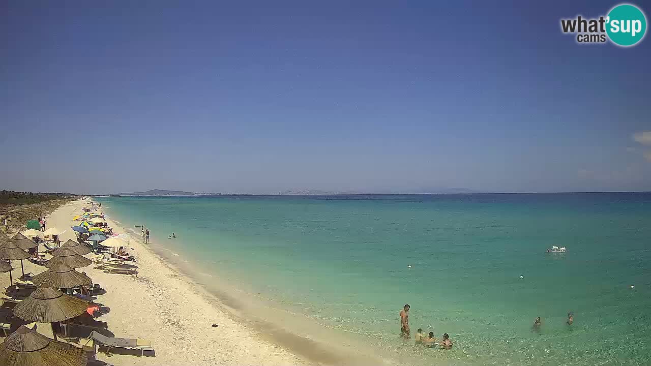 Playa Le Saline camera en vivo Stintino – Cerdeña
