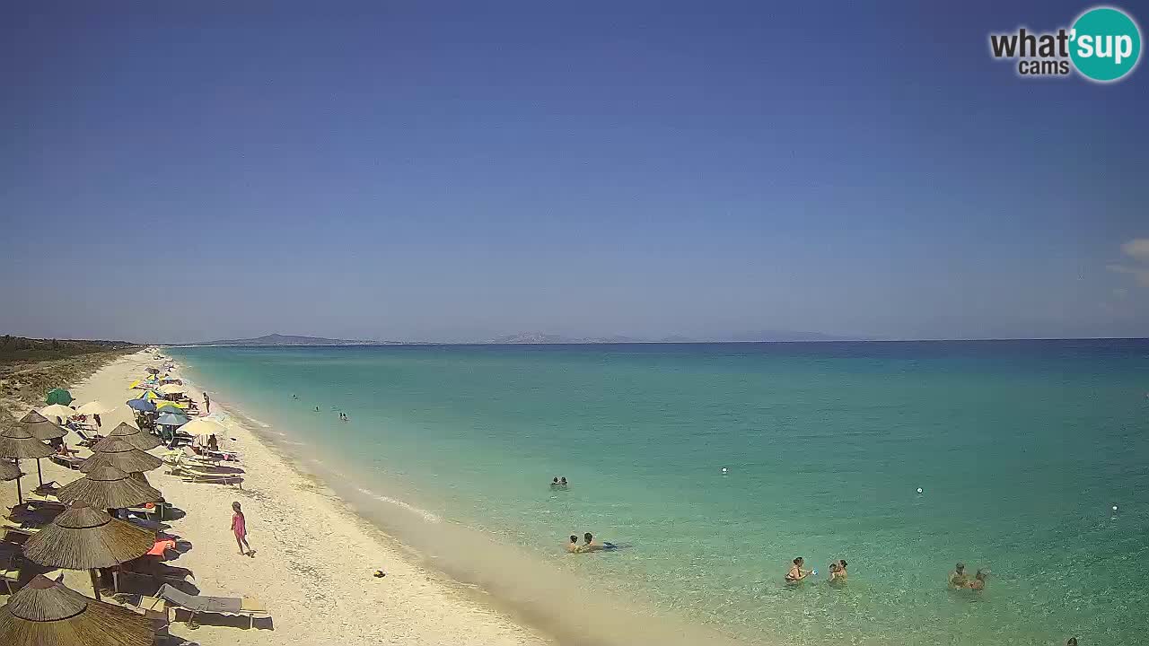 Beach Le Saline webcam live Stintino – Sardinia