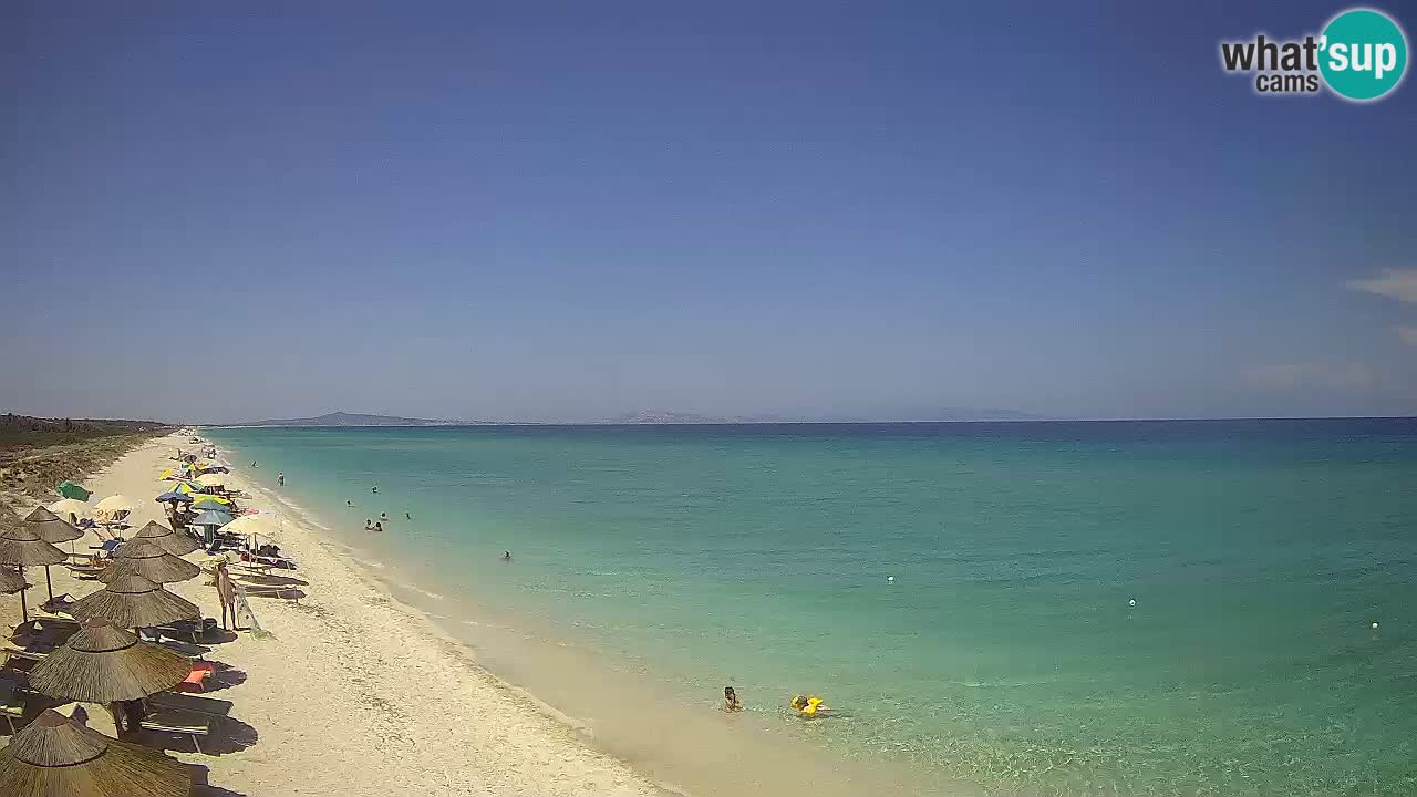 Plaža Le Saline spletna kamera Stintino – Sardinija
