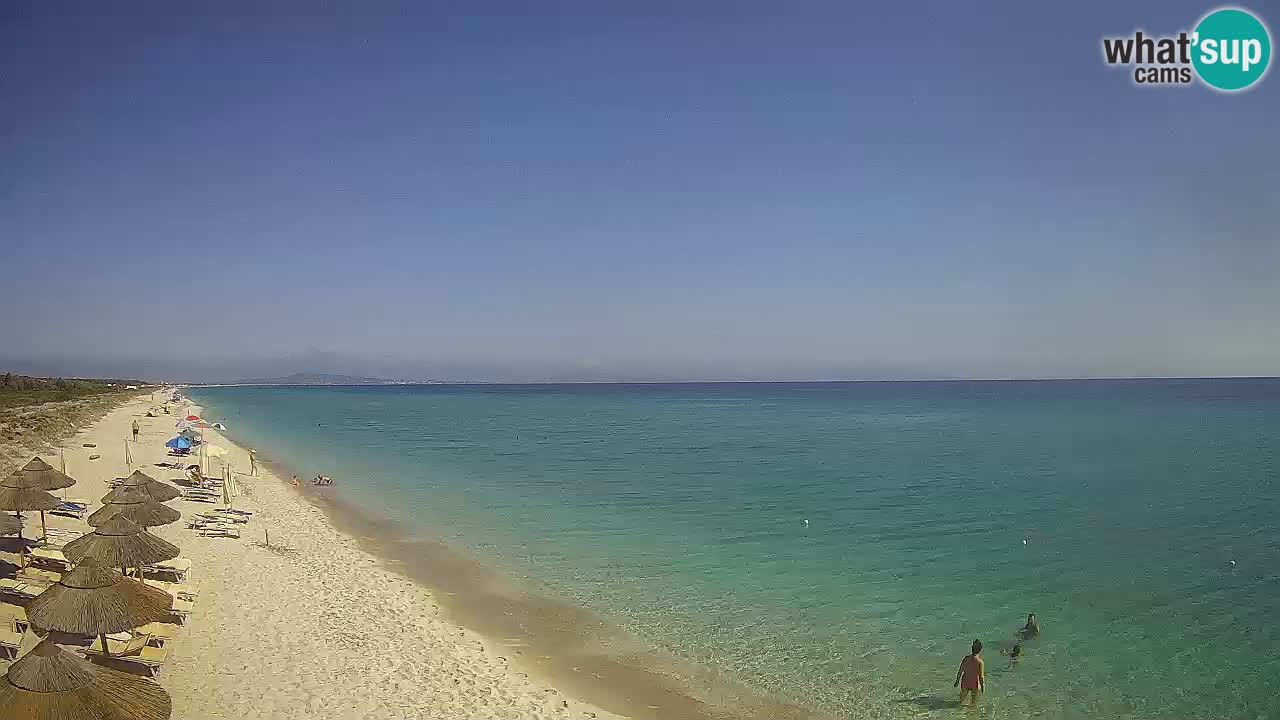 Plaža Le Saline web kamera Stintino – Sardinija
