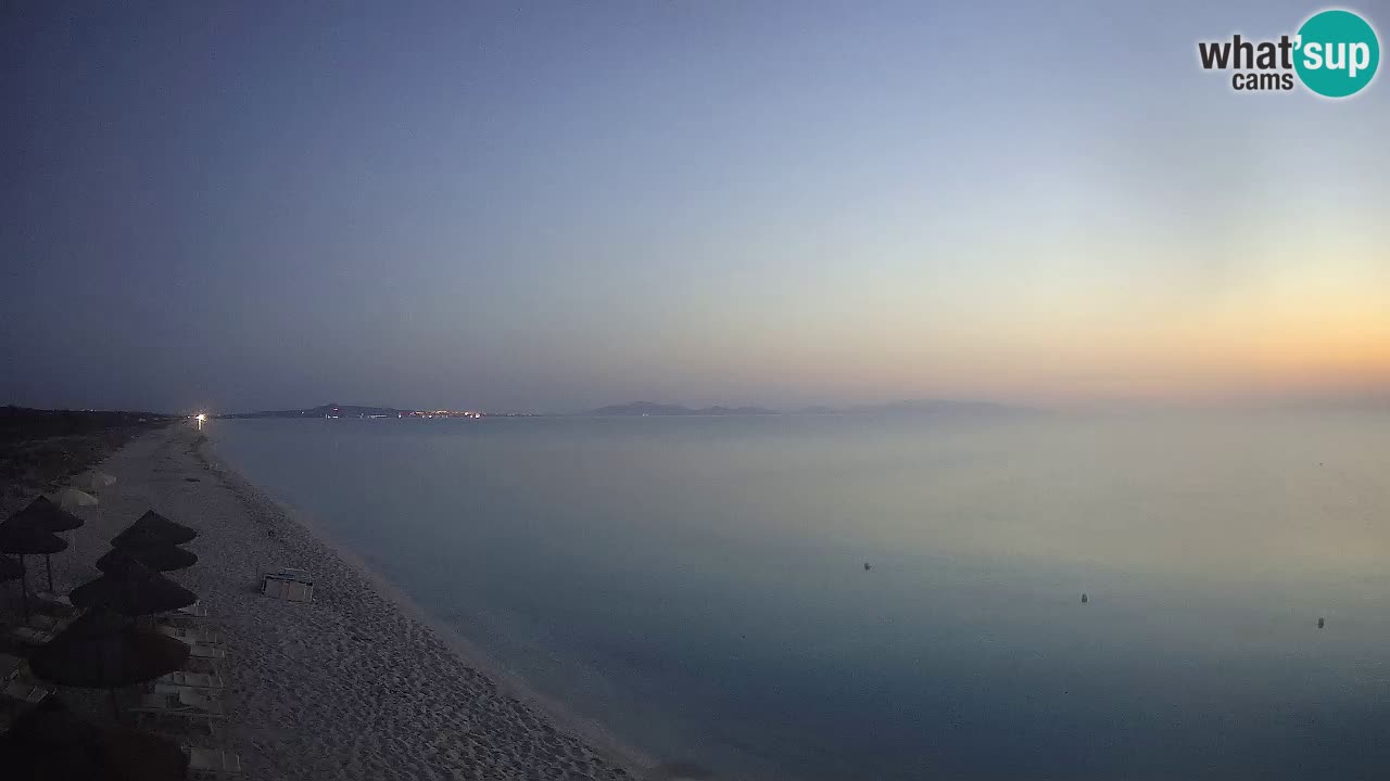 Beach Le Saline webcam live Stintino – Sardinia