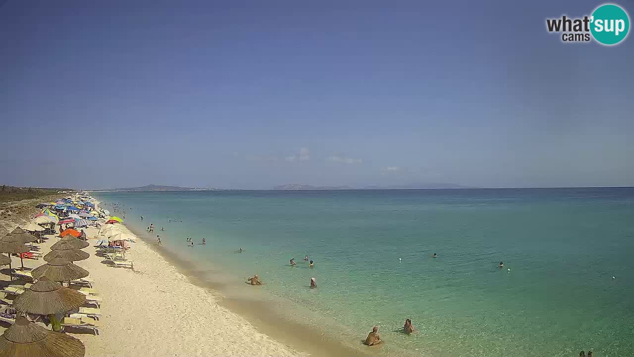 Spiaggia Le Saline webcam Stintino – Sardegna