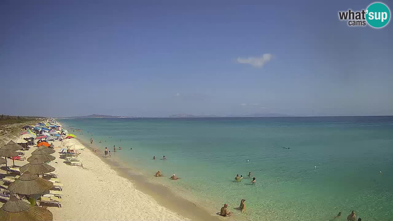Spiaggia Le Saline webcam Stintino – Sardegna