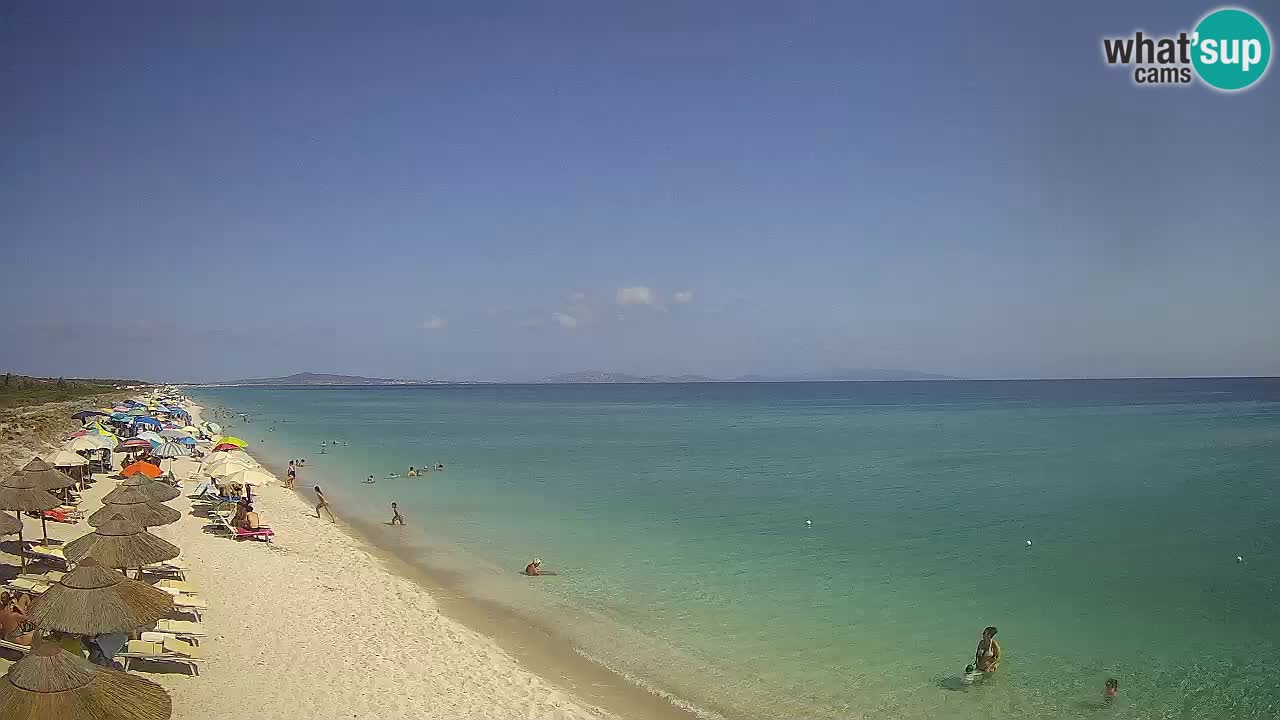Plaža Le Saline spletna kamera Stintino – Sardinija