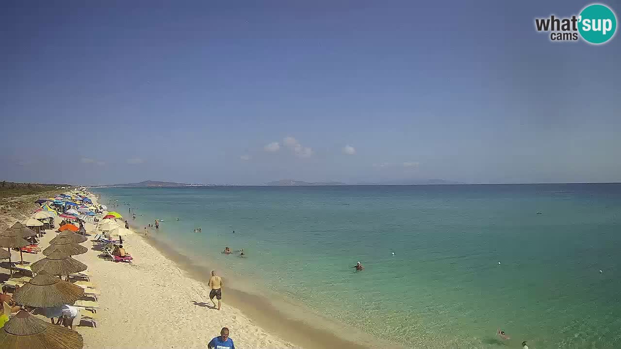 Beach Le Saline webcam live Stintino – Sardinia