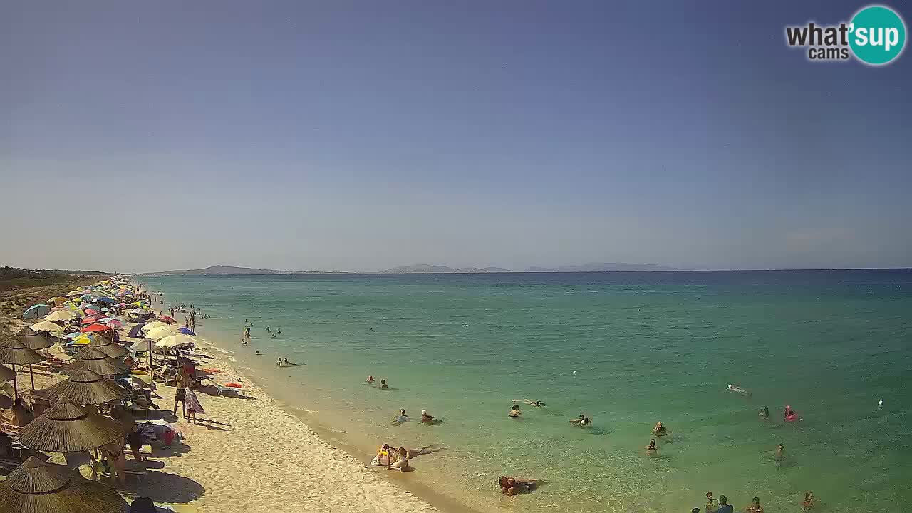 Plaža Le Saline spletna kamera Stintino – Sardinija
