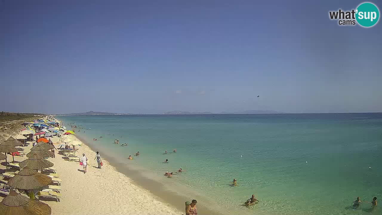 Beach Le Saline webcam live Stintino – Sardinia