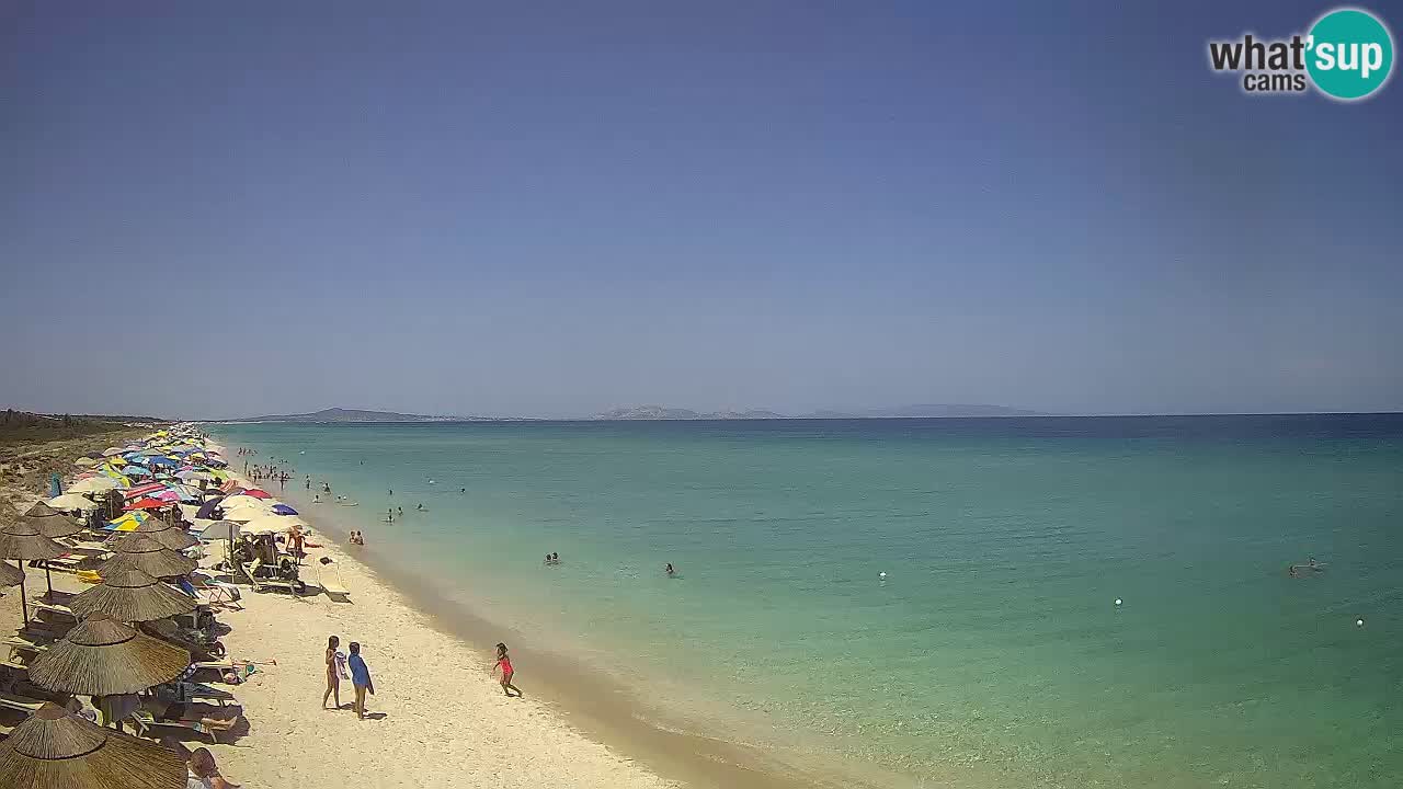 Plaža Le Saline spletna kamera Stintino – Sardinija