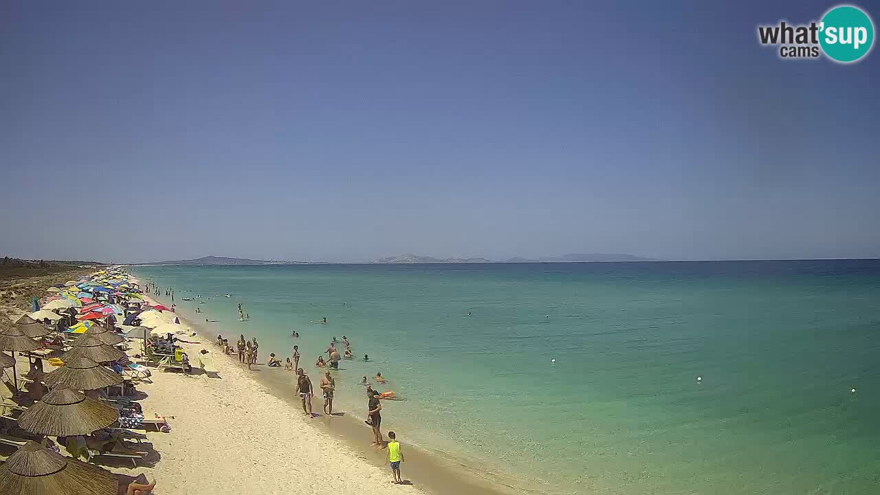 Playa Le Saline camera en vivo Stintino – Cerdeña