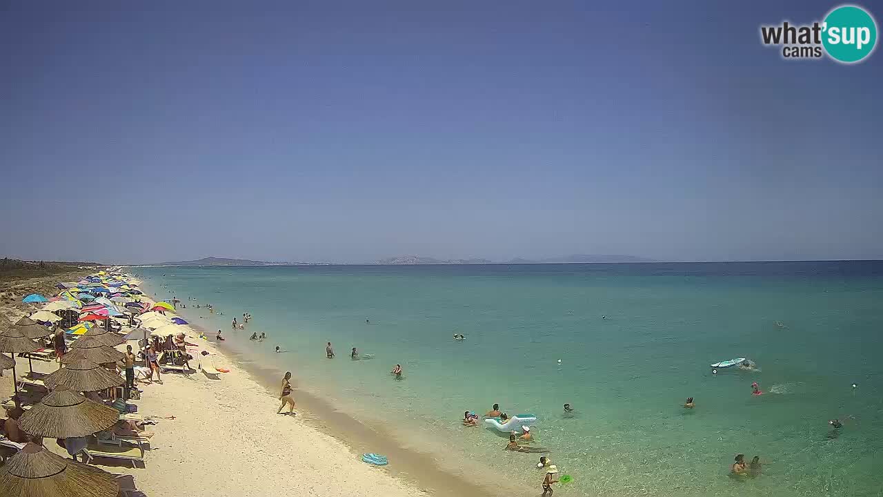 Beach Le Saline webcam live Stintino – Sardinia