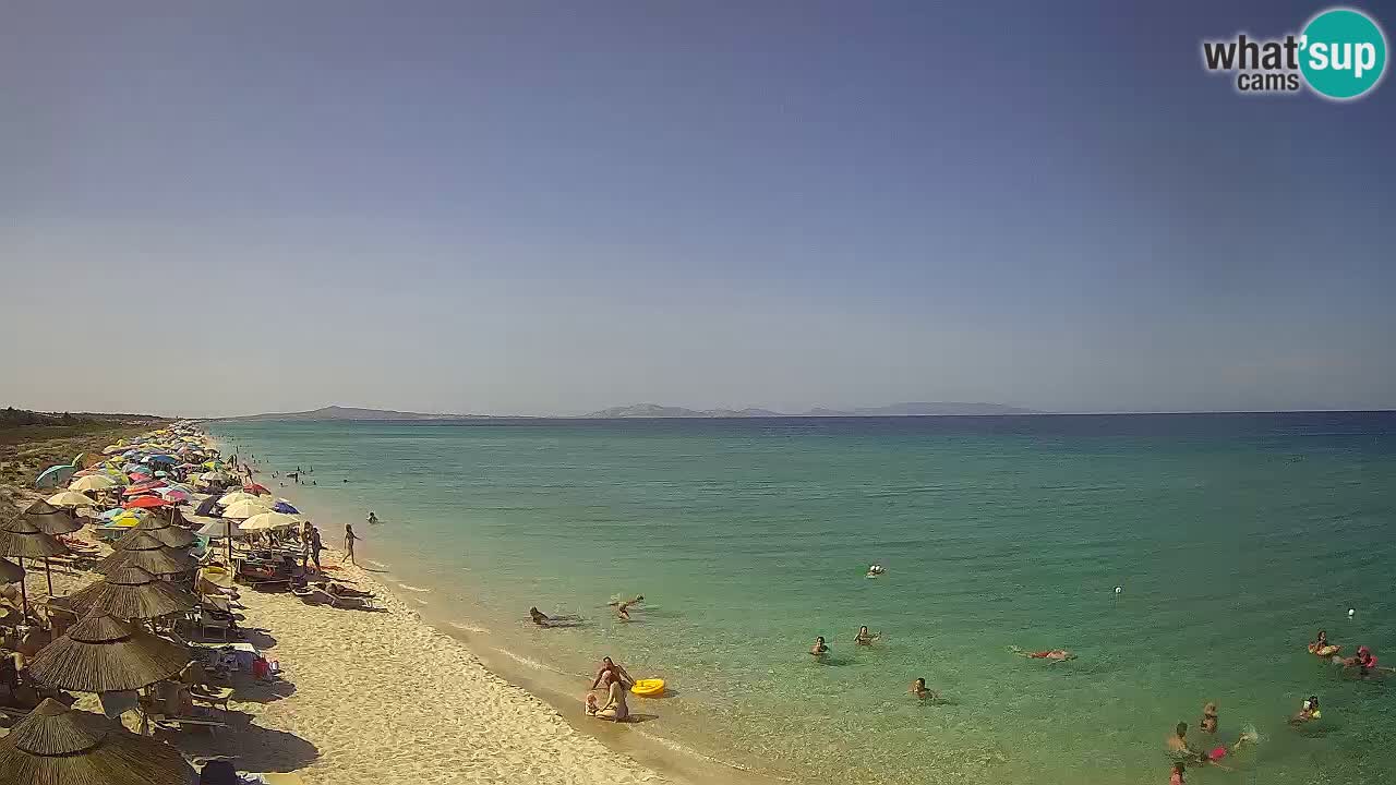 Strand Le Saline webcam Stintino – Sardinien