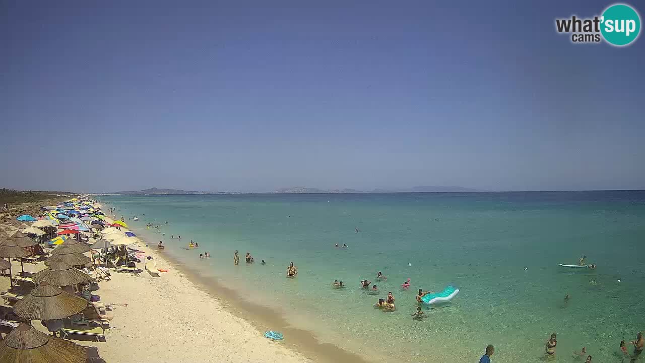 Beach Le Saline webcam live Stintino – Sardinia