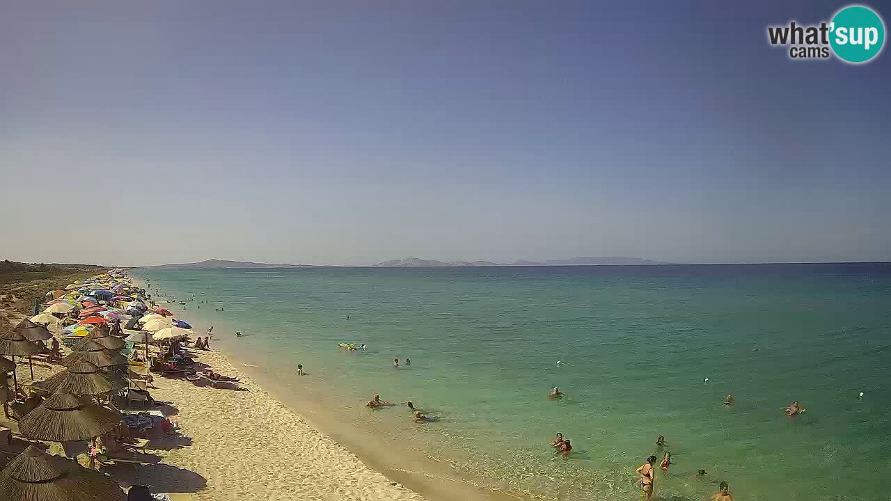 Spiaggia Le Saline webcam Stintino – Sardegna