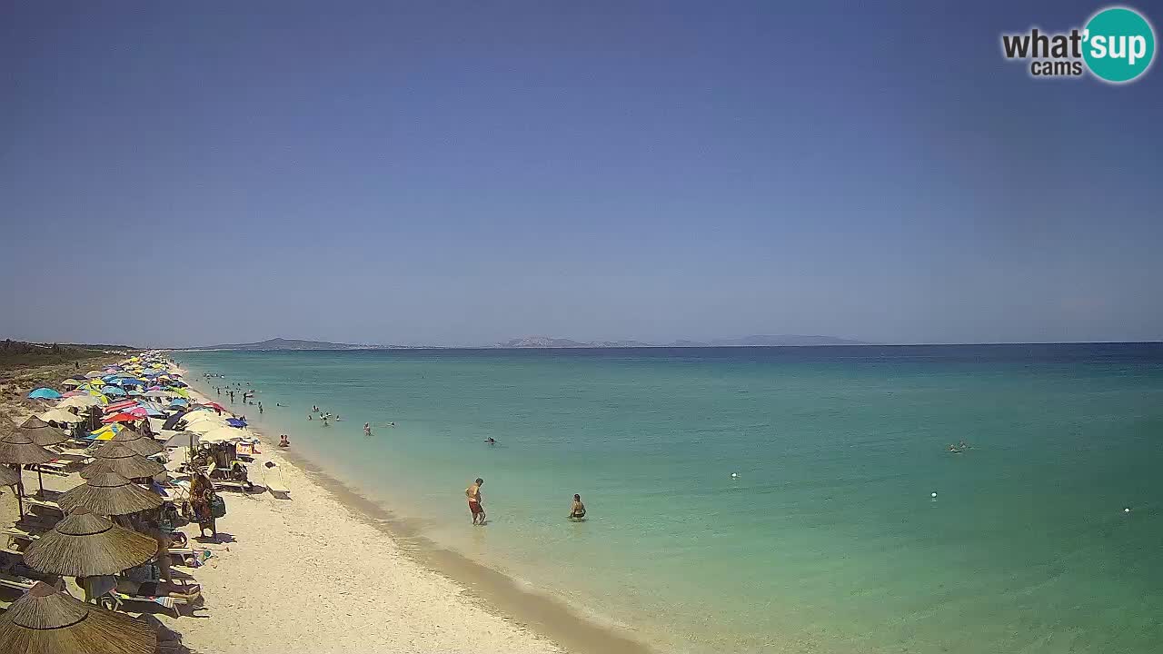 Strand Le Saline webcam Stintino – Sardinien