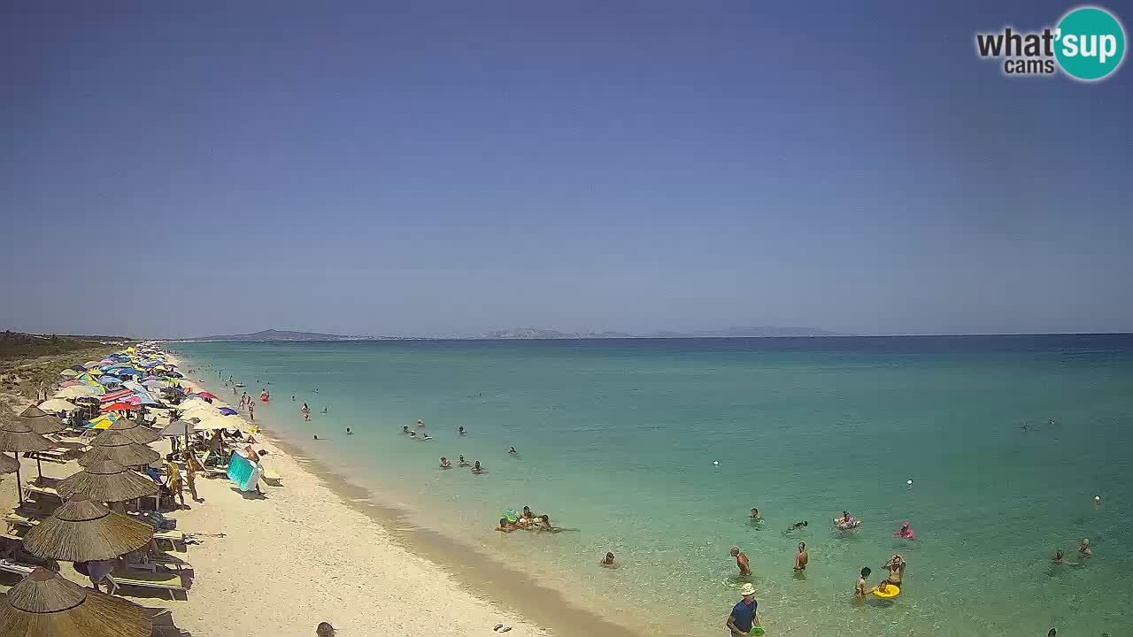 Playa Le Saline camera en vivo Stintino – Cerdeña