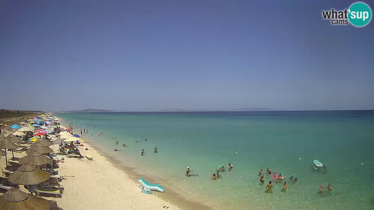 Playa Le Saline camera en vivo Stintino – Cerdeña
