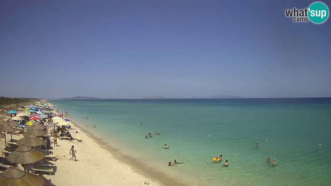 Plage Le Saline Live cam Stintino – Sardaigne