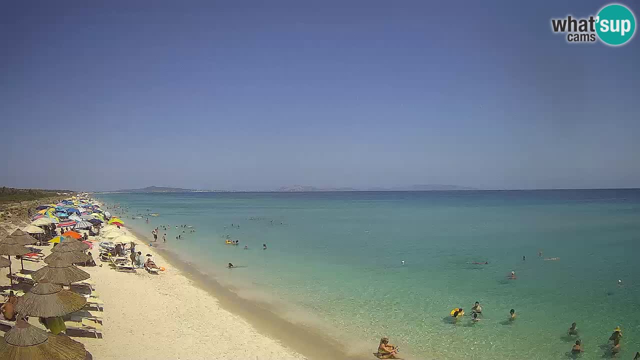 Playa Le Saline camera en vivo Stintino – Cerdeña