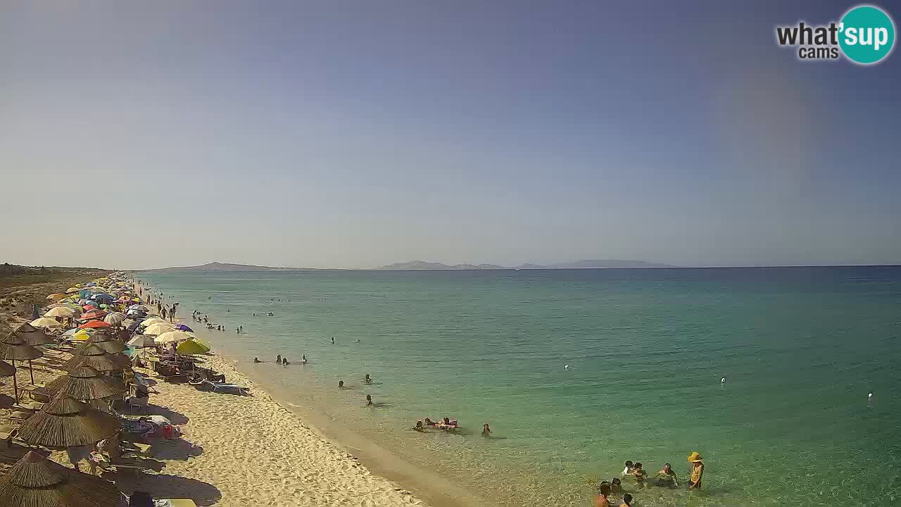 Beach Le Saline webcam live Stintino – Sardinia