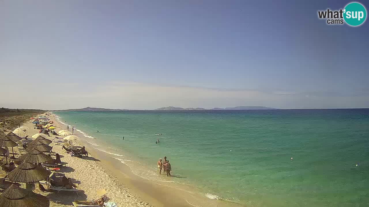Plaža Le Saline web kamera Stintino – Sardinija