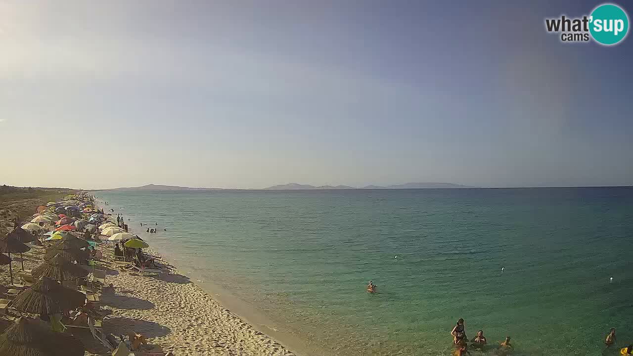 Playa Le Saline camera en vivo Stintino – Cerdeña