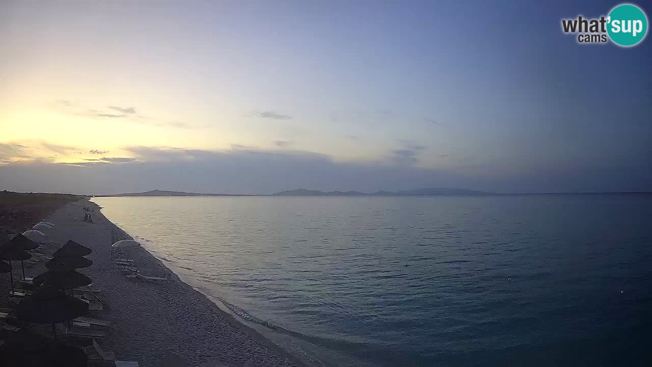 Strand Le Saline webcam Stintino – Sardinien