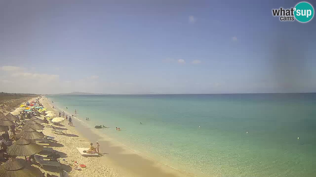 Spiaggia Le Saline webcam Stintino – Sardegna