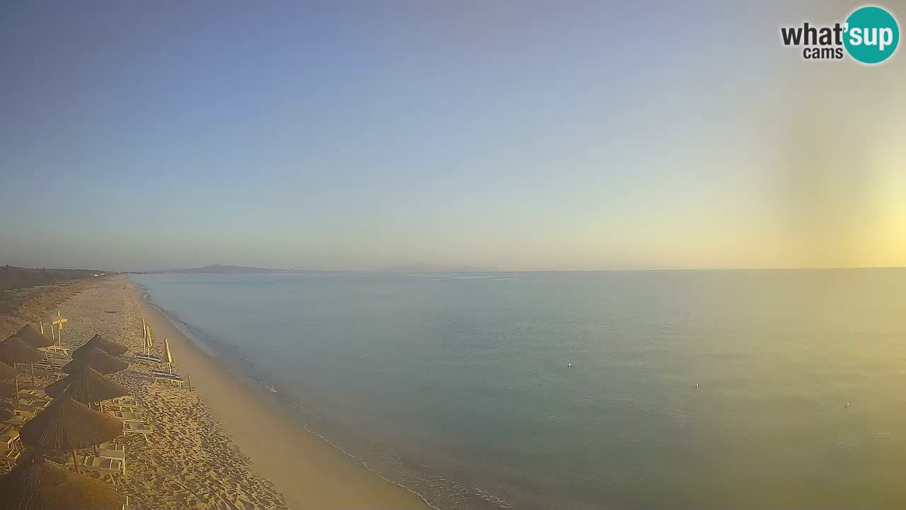 Plage Le Saline Live cam Stintino – Sardaigne