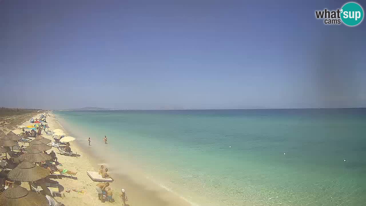 Playa Le Saline camera en vivo Stintino – Cerdeña