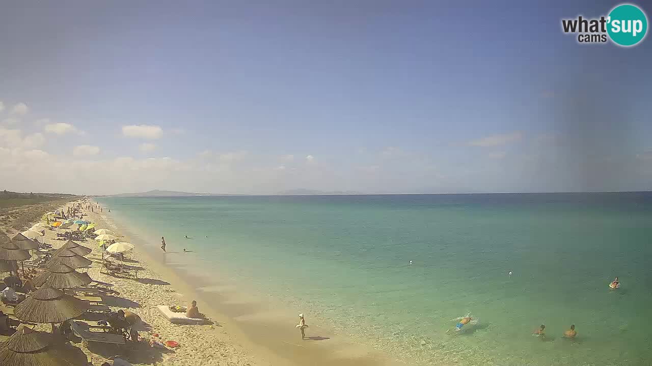 Strand Le Saline webcam Stintino – Sardinien