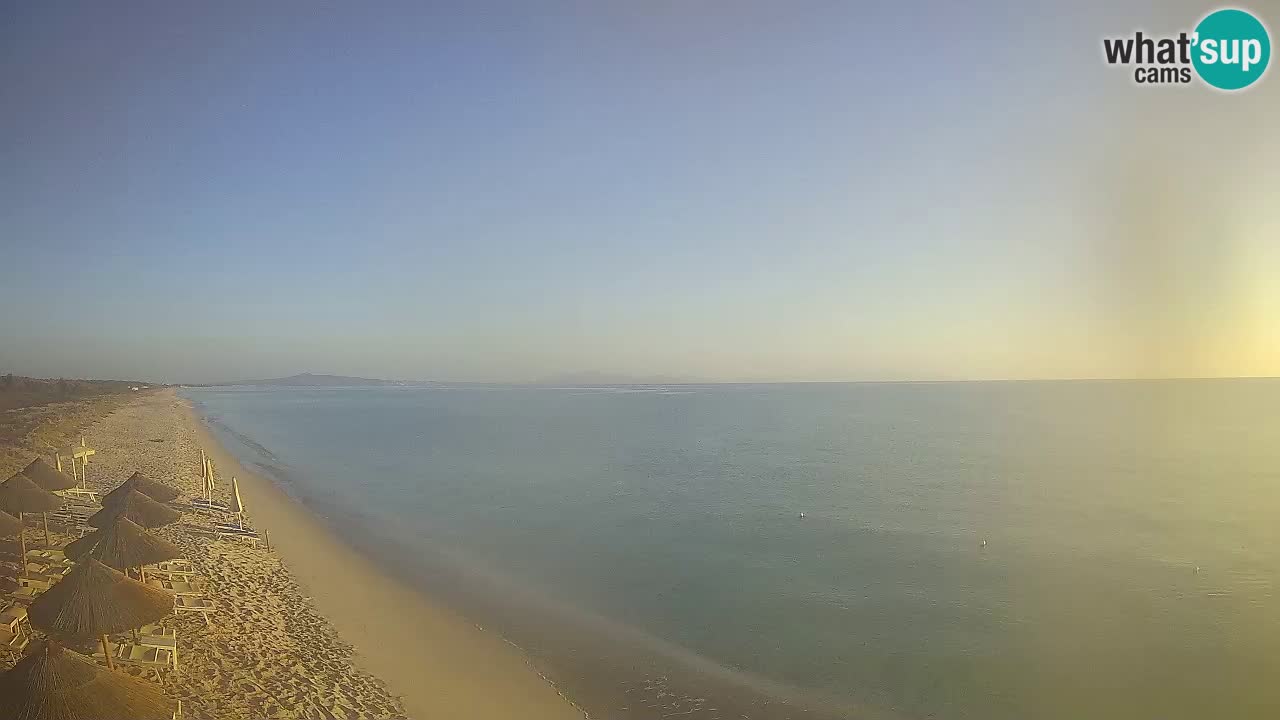 Strand Le Saline webcam Stintino – Sardinien