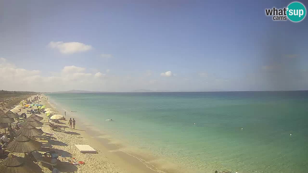 Plaža Le Saline spletna kamera Stintino – Sardinija
