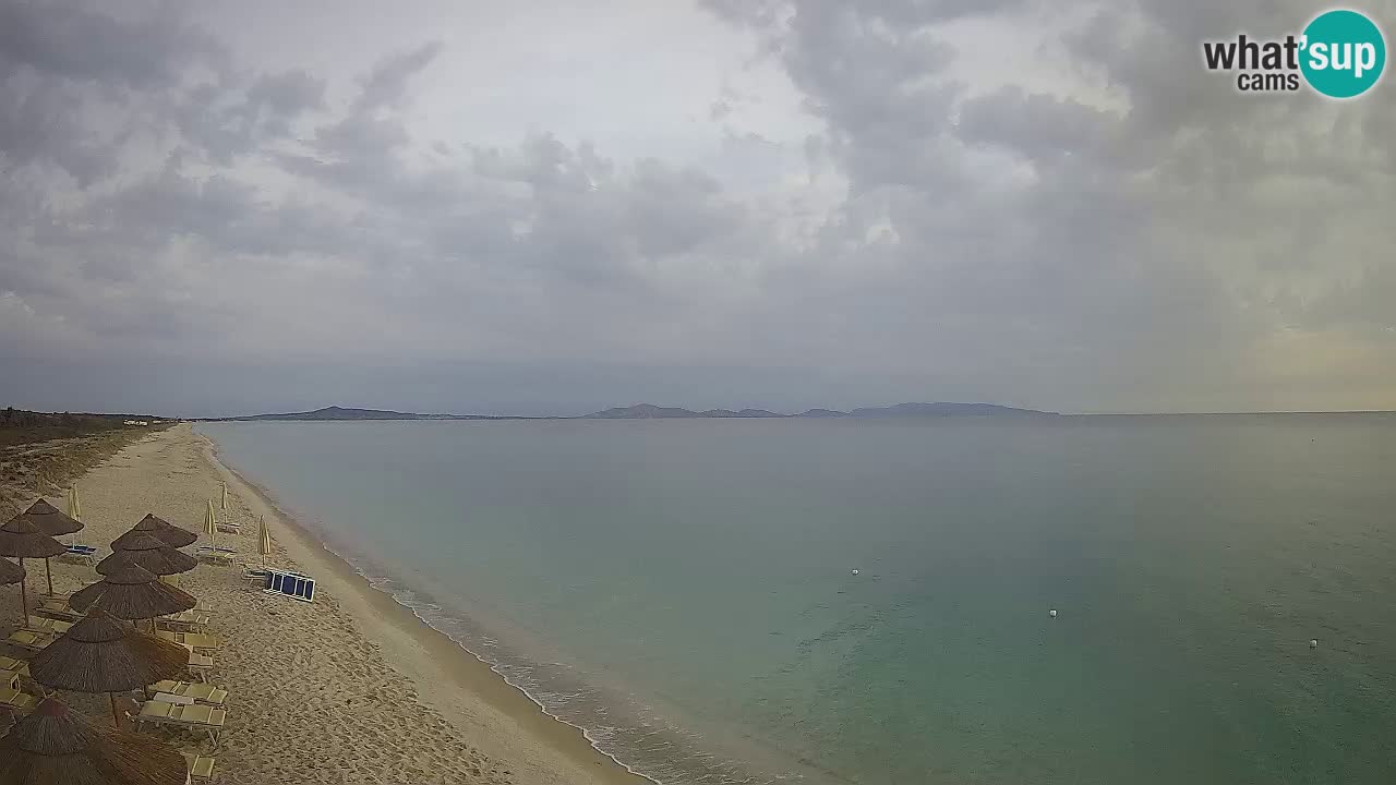 Spiaggia Le Saline webcam Stintino – Sardegna