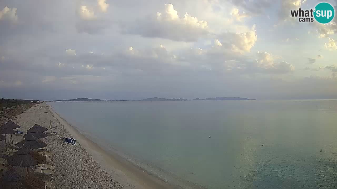 Beach Le Saline webcam live Stintino – Sardinia