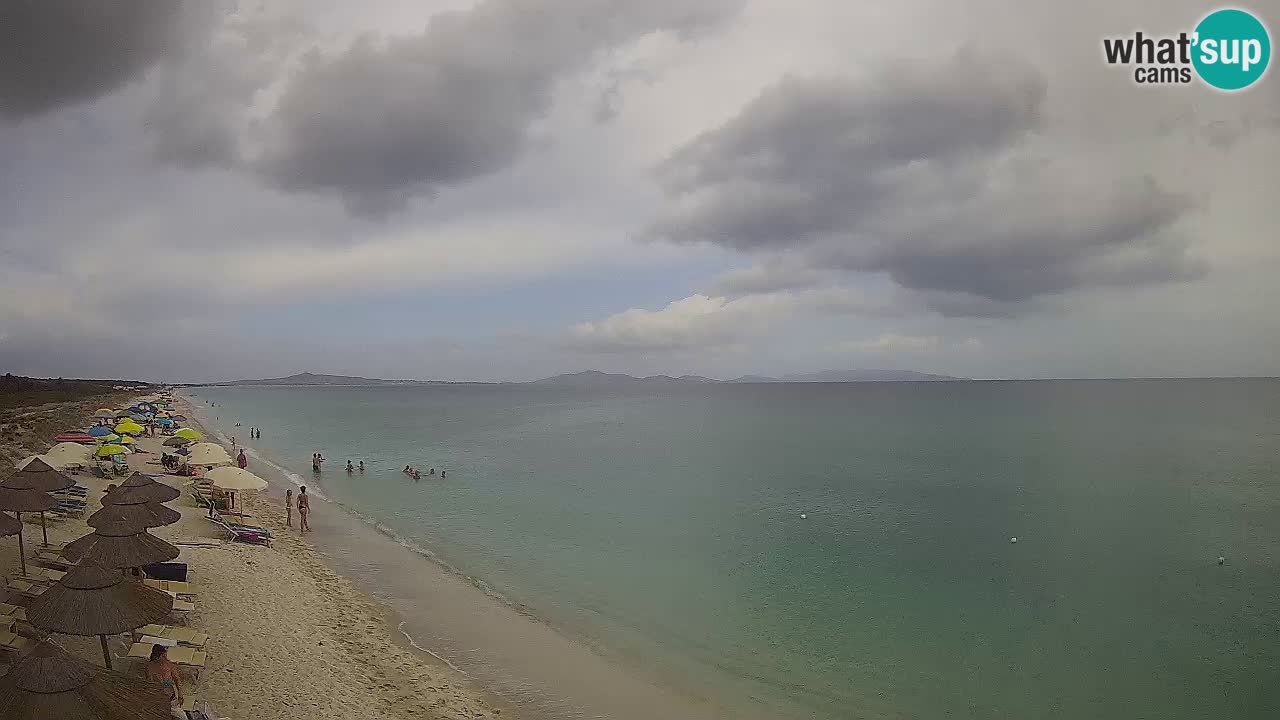 Strand Le Saline webcam Stintino – Sardinien