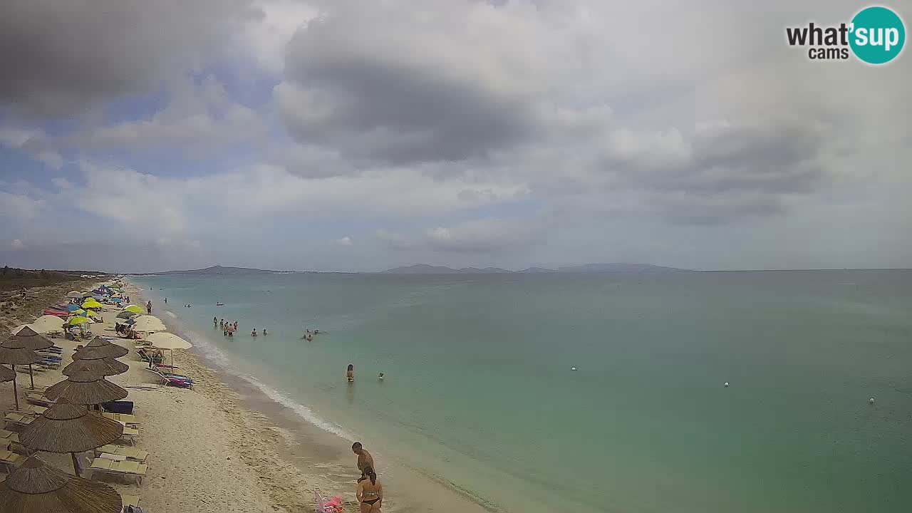 Plage Le Saline Live cam Stintino – Sardaigne