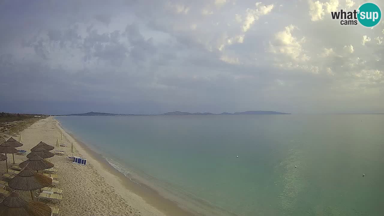 Strand Le Saline webcam Stintino – Sardinien