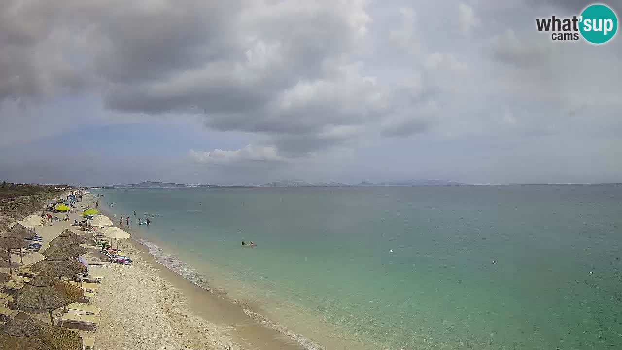 Plage Le Saline Live cam Stintino – Sardaigne