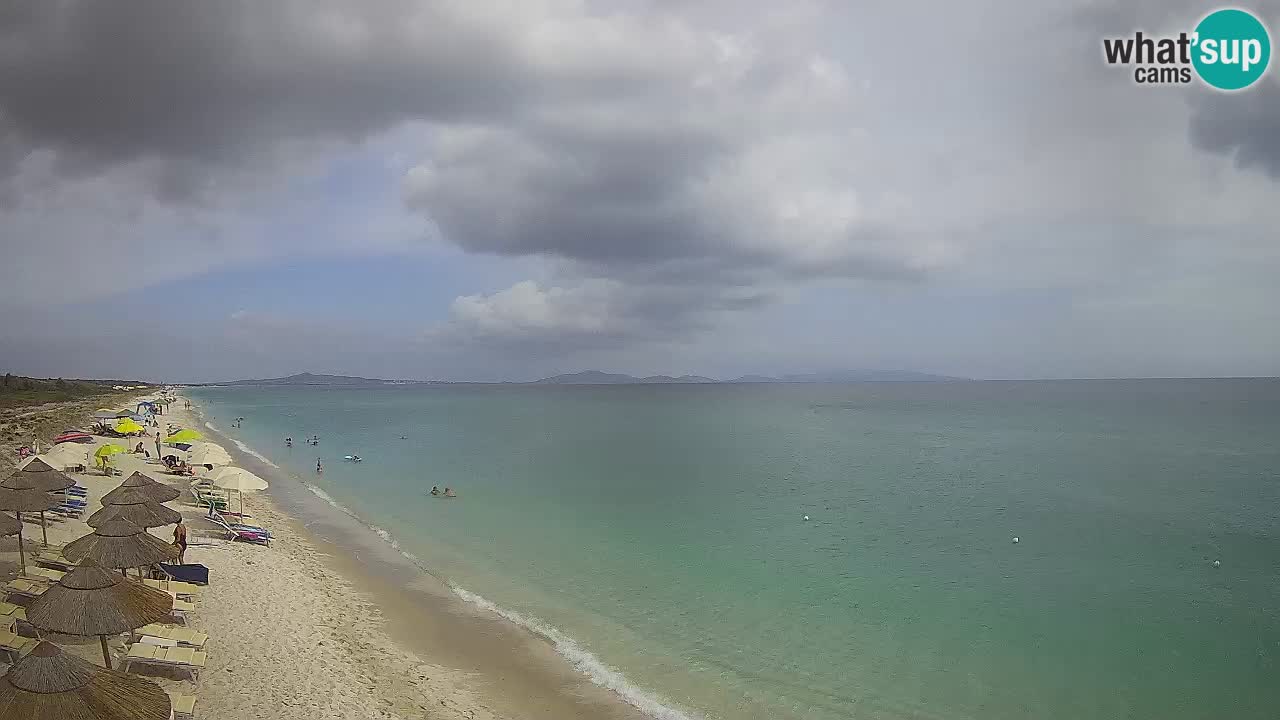 Plage Le Saline Live cam Stintino – Sardaigne